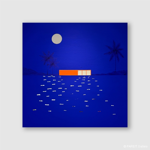 DERECQUE Isabelle - Full moon in Everglades